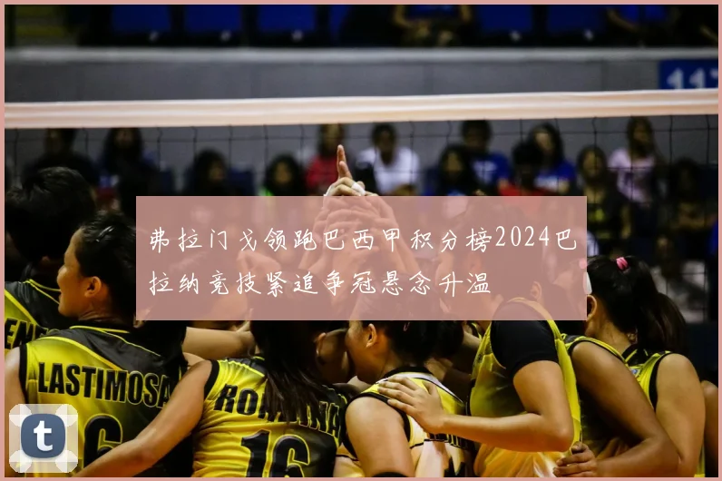 弗拉门戈领跑巴西甲积分榜2024巴拉纳竞技紧追争冠悬念升温