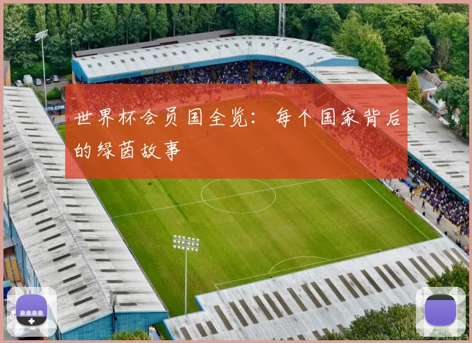 世界杯会员国全览：每个国家背后的绿茵故事