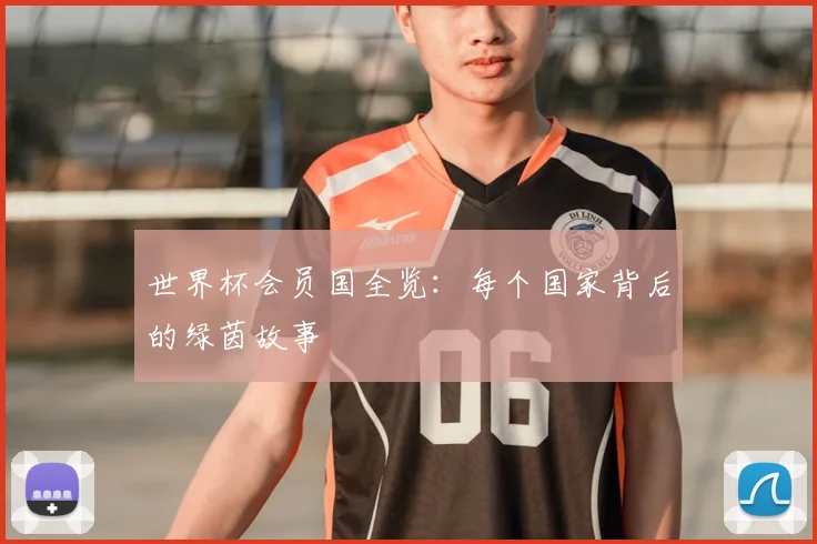 世界杯会员国全览:每个国家背后的绿茵故事