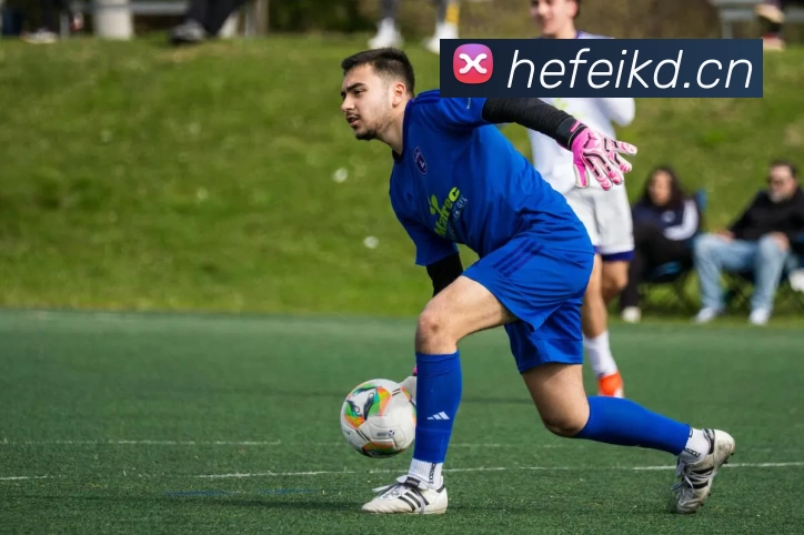 App Interface Preview