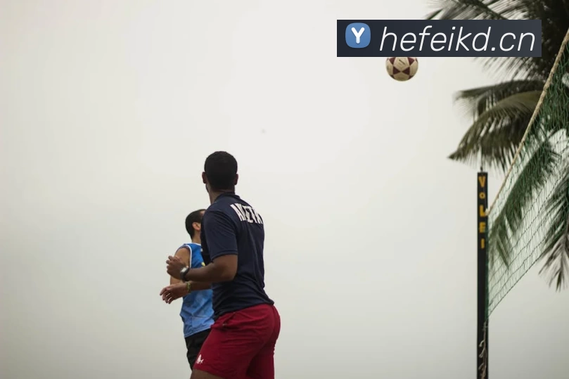 九游·官方版web站入口 - jiuyou j9(中国)APP 封面图